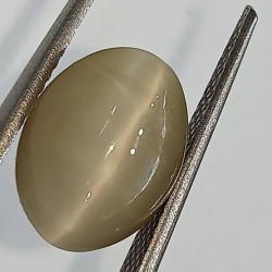 Cat’s Eye Stone (Lehsunia) & Lab- Certified Gemstone – 5.91 Carat