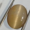 Cat’s Eye Stone (Lehsunia) & Lab- Certified Gemstone – 6.76 Carat