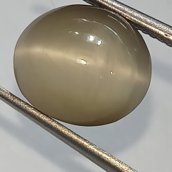 Cat’s Eye Stone (Lehsunia) & Lab- Certified Gemstone – 6.29 Carat