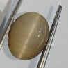 Cat’s Eye Stone (Lehsunia) & Lab- Certified Gemstone – 6.94 Carat
