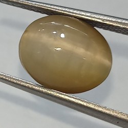 Cat’s Eye Stone (Lehsunia) & Lab- Certified Gemstone – 6.94 Carat