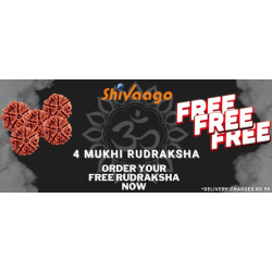 Free 4 Mukhi Rudraksha Original - *Delivery Charges only Rs 99