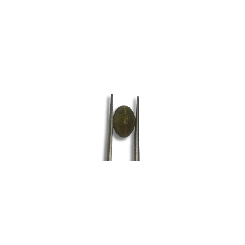 Natural Apatite Cat's Eye Gemstone – 3.60 Carat