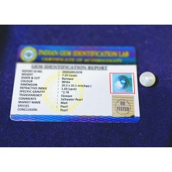 South Sea Pearl (Moti) 7.25 Carat & Certified