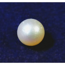 South Sea Pearl (Moti) 5.25 Carat & Certified