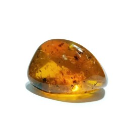 Amber Stone Raw - Natural, Certified & Original (117 Crt Apx)