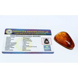Amber Stone Raw - Natural, Certified & Original (80 Crt Apx)