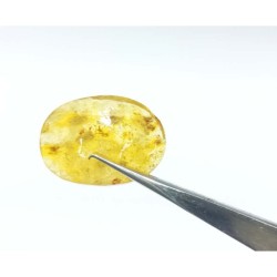 Original Amber stone 8.25 carat - Certified (Without Silver)