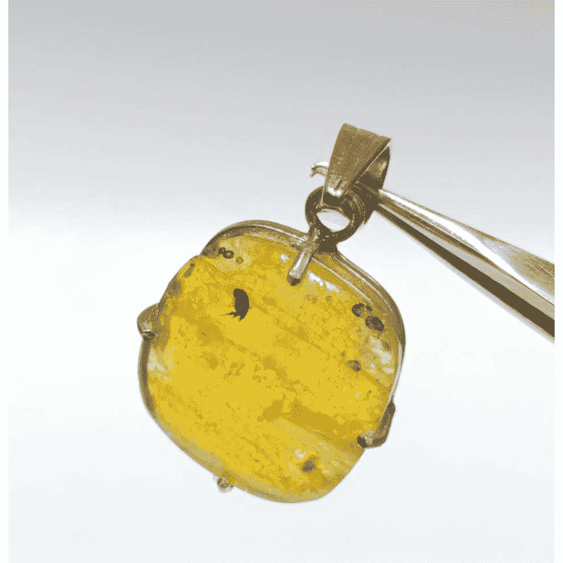 Natural Amber stone 6.25 carat In Silver Locket - Certified