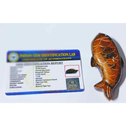 Tiger Eye Fish  Lab-Certified