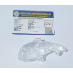 Indian Sphatik Fish & Certified (1 Piece)