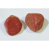 Natural Red Jasper Stone 2 piece & Lab- Tested