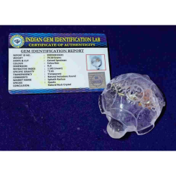 Indian Sphatik Kachua (Tortoise) & Lab Certified -79 Gram