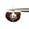 1 Mukhi Rudraksha Beads in Silver Pendant & Lab- Certified