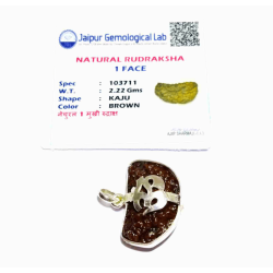 1 Mukhi Rudraksha Beads in Silver Pendant & Lab- Certified