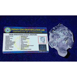 Indian Sphatik Kachua (Tortoise) & Lab Certified - 73 Gram