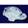 Indian Sphatik Kachua (Tortoise) & Lab Certified - 73 Gram