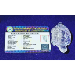 Indian Sphatik Kachua (Tortoise) & Lab Certified -56 Gram