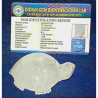 Indian Sphatik Kachua (Tortoise) & Lab Certified - 75 Gram