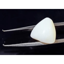 Lab Certified Triangle White Coral Stone (Moonga)   6.25 Carat