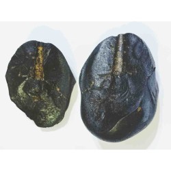 Shivlingam Golden Shaligram Natural 100% Genuine – 535 Gram