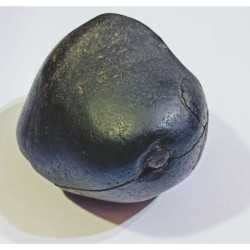 Shivlingam Golden Shaligram Natural 100% Genuine – 535 Gram
