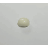 White Coral Stone (Moonga) Lab Certified  -6.25 Carat