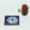 Nepali 10 Mukhi Rudraksha bead in Silver Locket with X-ray Report, Natural & Lab Tests