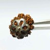 Nepali 10 Mukhi Rudraksha bead in Silver Locket with X-ray Report, Natural & Lab Tests