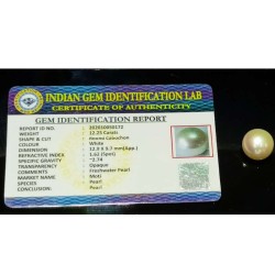 Abhimantrit Natural  Pearl (Moti) Stone & Lab Certified - 12.25 Carat