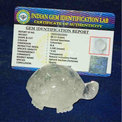 Natural Indian Sphatik Kachua (Tortoise) & Lab Certified 66 Gram
