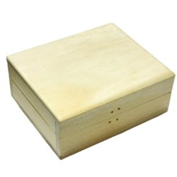Shriparni Wooden Wealth Money Box Vastu Cash Box 3x4 Inch