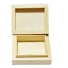 Shriparni Wooden Wealth Money Box Vastu Cash Box 3x4 Inch