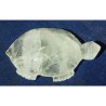 Genuine Indian Sphatik Kachua (Tortoise) & Lab Certified -50 to 55 Gram Approx