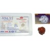 Natural Sawaar rudraksha 2.8 gram & 20.6mm With X-Report & Lab Certification