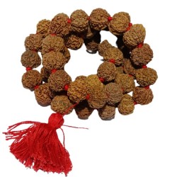 Shani Mala Rudraksha - Nepali 7 Mukhi Rudraksha (54+1) Beads