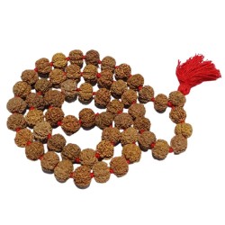 Shani Mala Rudraksha - Nepali 7 Mukhi Rudraksha (54+1) Beads
