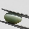 Cat’s Eye Stone (Lehsunia) & Lab- Certified Gemstone – 4.60 Carat
