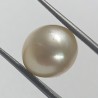Authentic South Sea Pearl (Moti) Stone 11.81 Carat & Certified