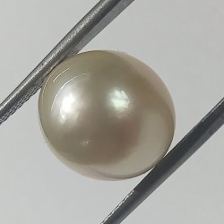 Authentic South Sea Pearl (Moti) Stone 11.81 Carat & Certified