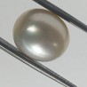 Authentic South Sea Pearl (Moti) Stone 13.12 Carat & Certified
