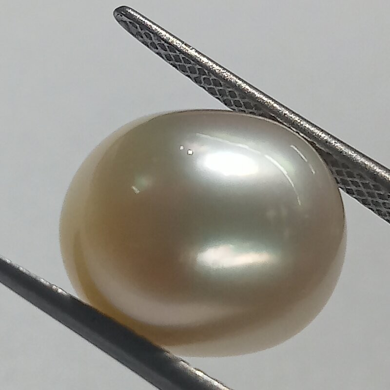 Authentic South Sea Pearl (Moti) Stone 13.08 Carat & Certified