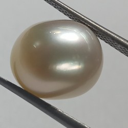 Authentic South Sea Pearl (Moti) Stone 13.08 Carat & Certified