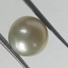 Authentic South Sea Pearl (Moti) Stone 9.58 Carat & Certified