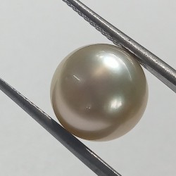 Authentic South Sea Pearl (Moti) Stone 8.48 Carat & Certified