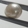 Authentic South Sea Pearl (Moti) Stone 9.12 Carat & Certified