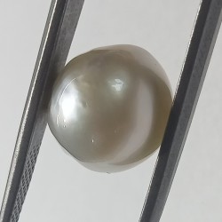 Authentic South Sea Pearl (Moti) Stone 9.12 Carat & Certified