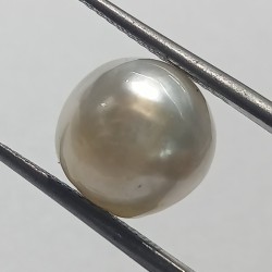 Authentic South Sea Pearl (Moti) Stone 9.12 Carat & Certified