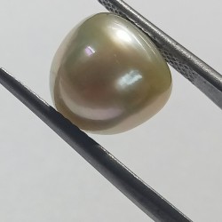 Authentic South Sea Pearl (Moti) Stone 8.73 Carat & Certified
