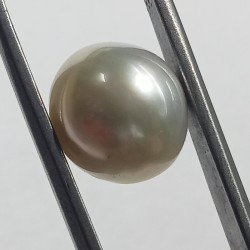 Authentic South Sea Pearl (Moti) Stone 8.74 Carat & Certified